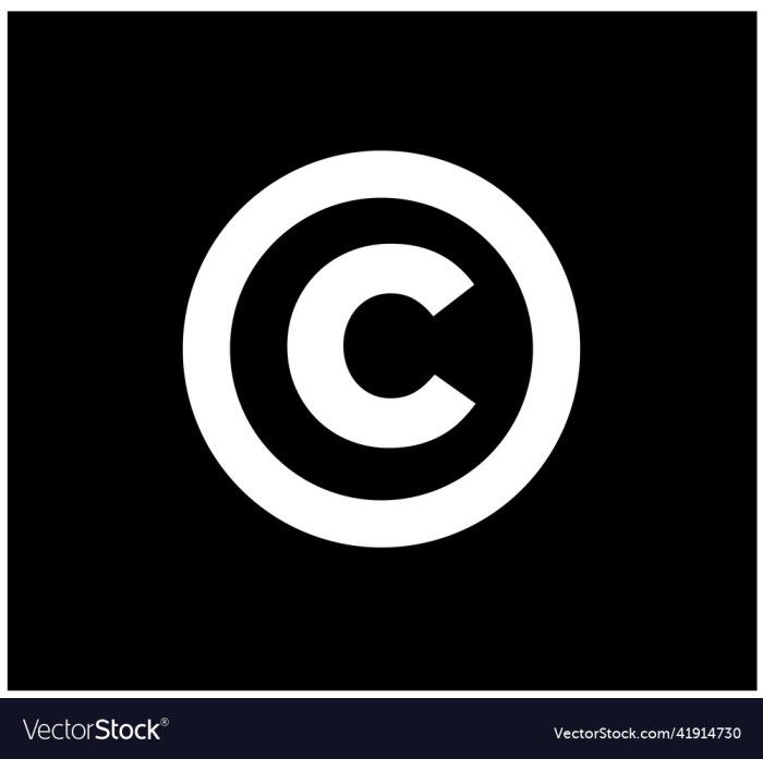 Learn how to Get Copy of C A Complete Information
