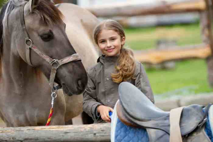 How A lot Does It Value to Feed a Horse? A Complete Information