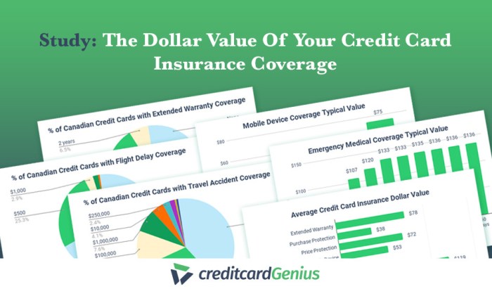 Hyatt Credit score Card Rental Automotive Insurance coverage A Information