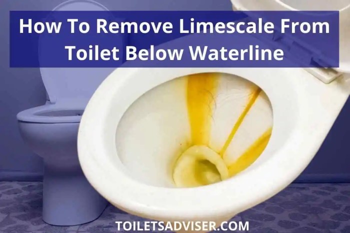 How to remove limescale from toilet