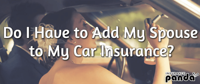Insurance ageas elses adding Can i add my girlfriend to my car insurance