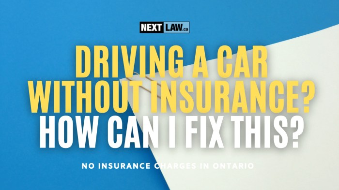 Driving With out Insurance coverage Arrest Potential
