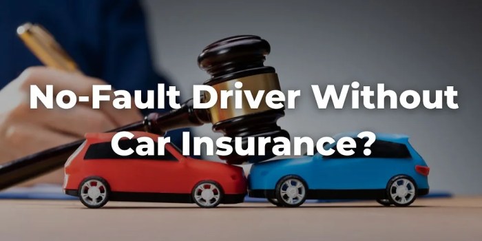 Uninsured Driver Accident Your Rights and Actions