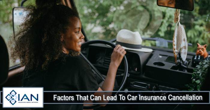 How to remove a car from insurance