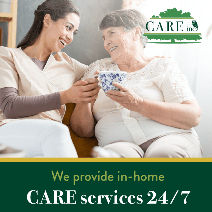 Care n care insurance company inc