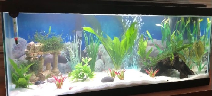 How to rinse aquarium sand