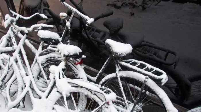 How to store bikes outside
