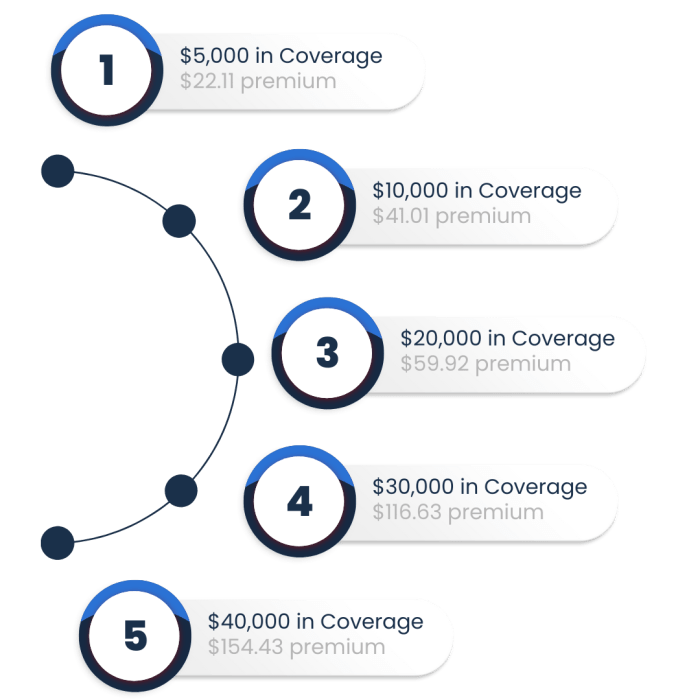 Open care final expense insurance