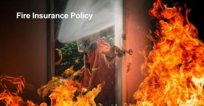 Does Insurance coverage Cowl Automotive Hearth? A Complete Information