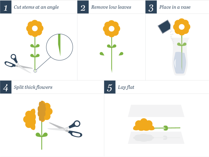 How to store pressed flowers
