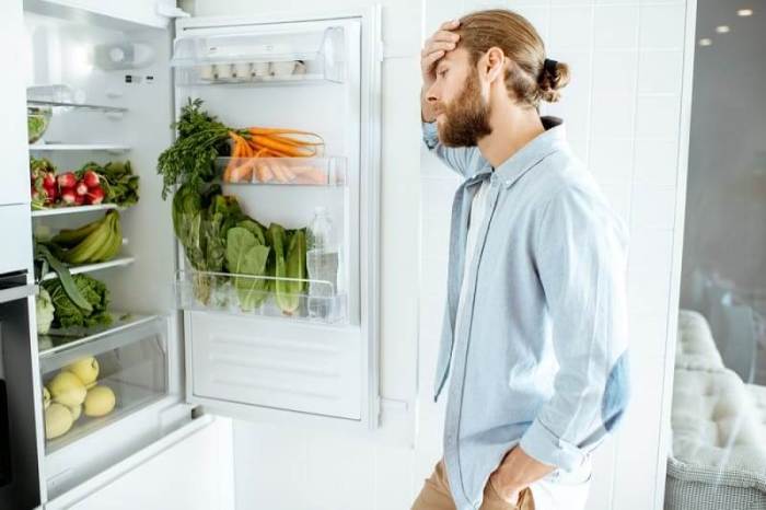 Methods to Inform if Fridge Is Working