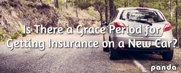 California New Automobile Insurance coverage Grace Interval