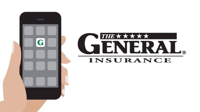 Toggle Automotive Insurance coverage Telephone Quantity