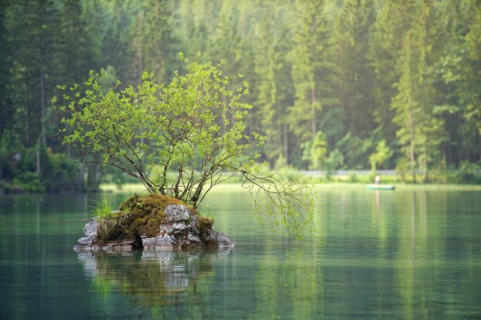 How to color pond water green