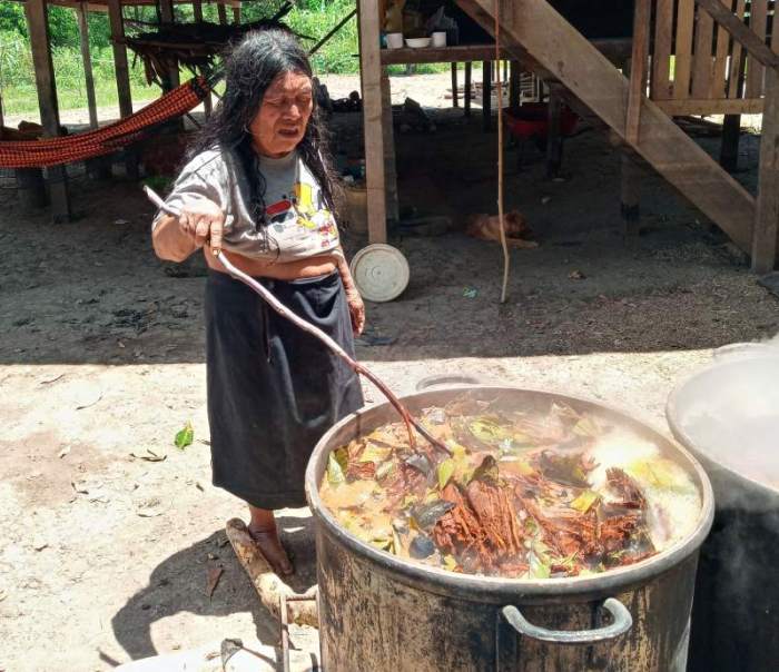 How to cook ayahuasca