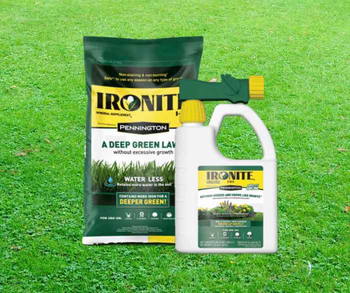 How long does it take for turf to take root