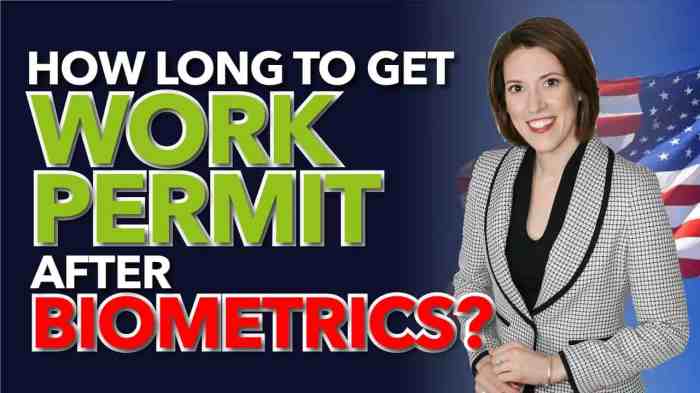 Work permit authorization document employment what immigration cancellation Work permit authorization document employment what immigration cancellation