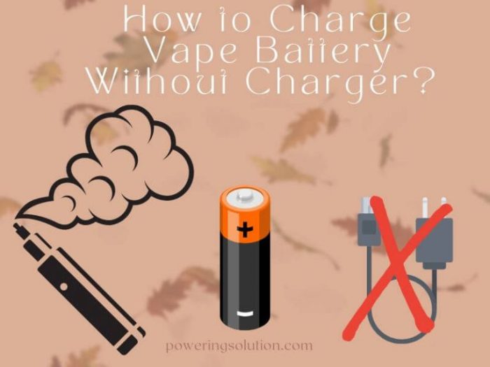 Stamp Vape Charging Options Tips on how to Cost Off