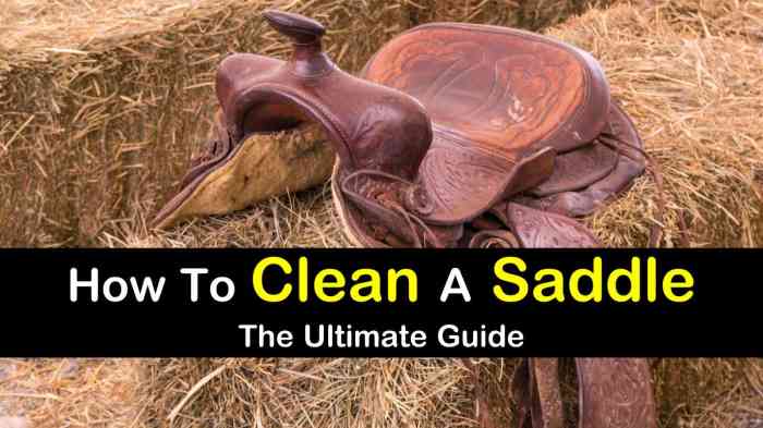 Saddle western leather goldeagle