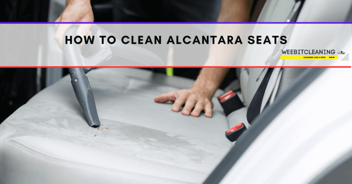 The way to Clear Alcantara A Deep Dive