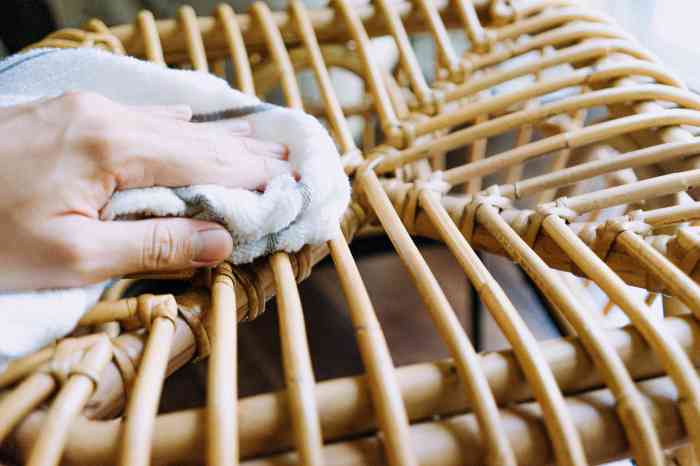 Rattan clean furniture
