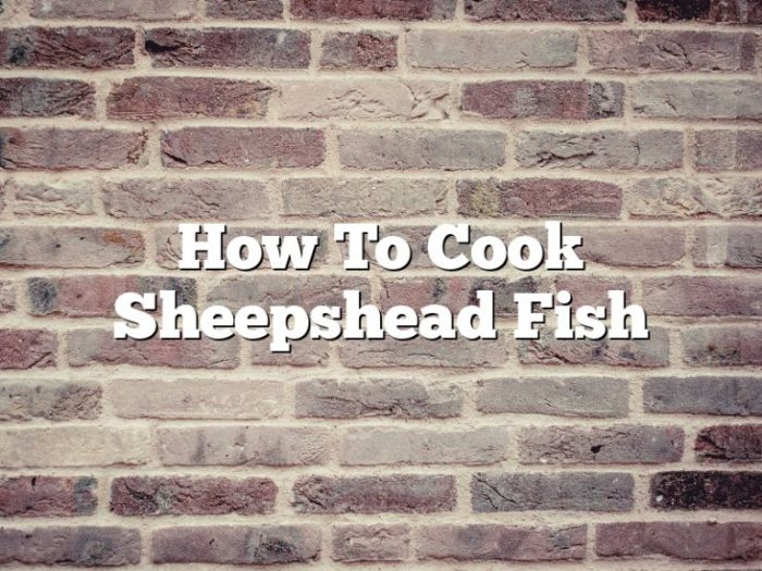 Sheepshead whole Sheepshead whole