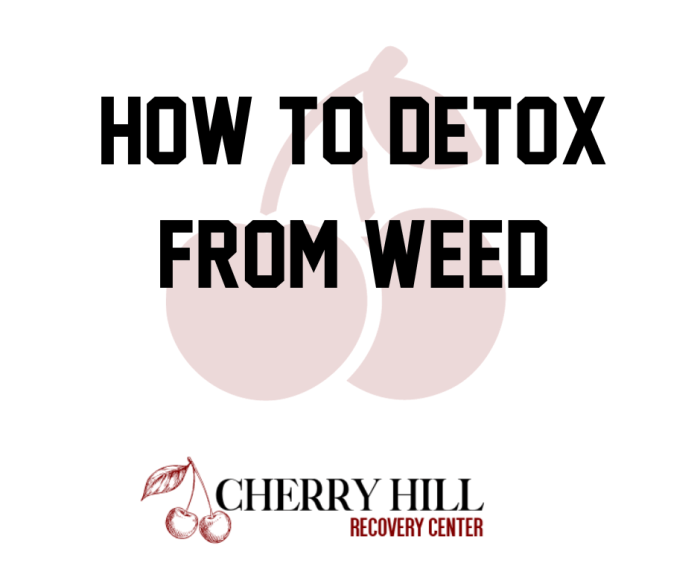 The right way to Detox From Weed Pen Your Information