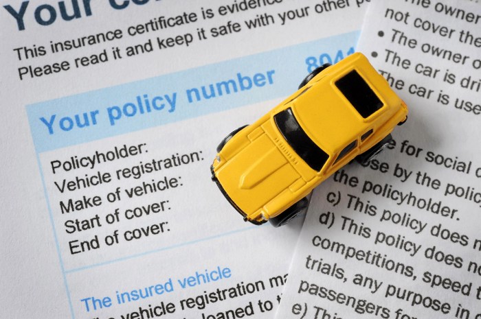 How Do You Discover Out If Somebody Has Automotive Insurance coverage? Unveiling the Secrets and techniques