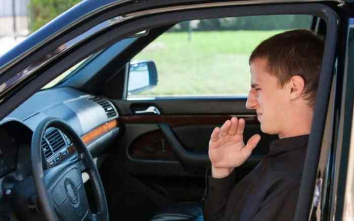 How to get urine smell out of car