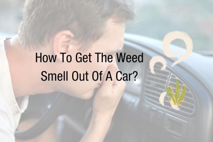 Banishing Weed Scent from Your Trip