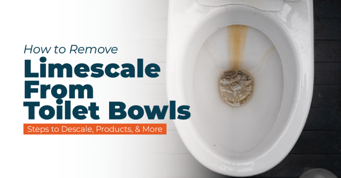 Learn how to Clear Limescale from Rest room A Complete Information