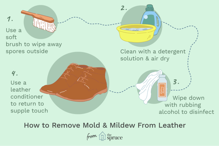 How to clean mold off leather