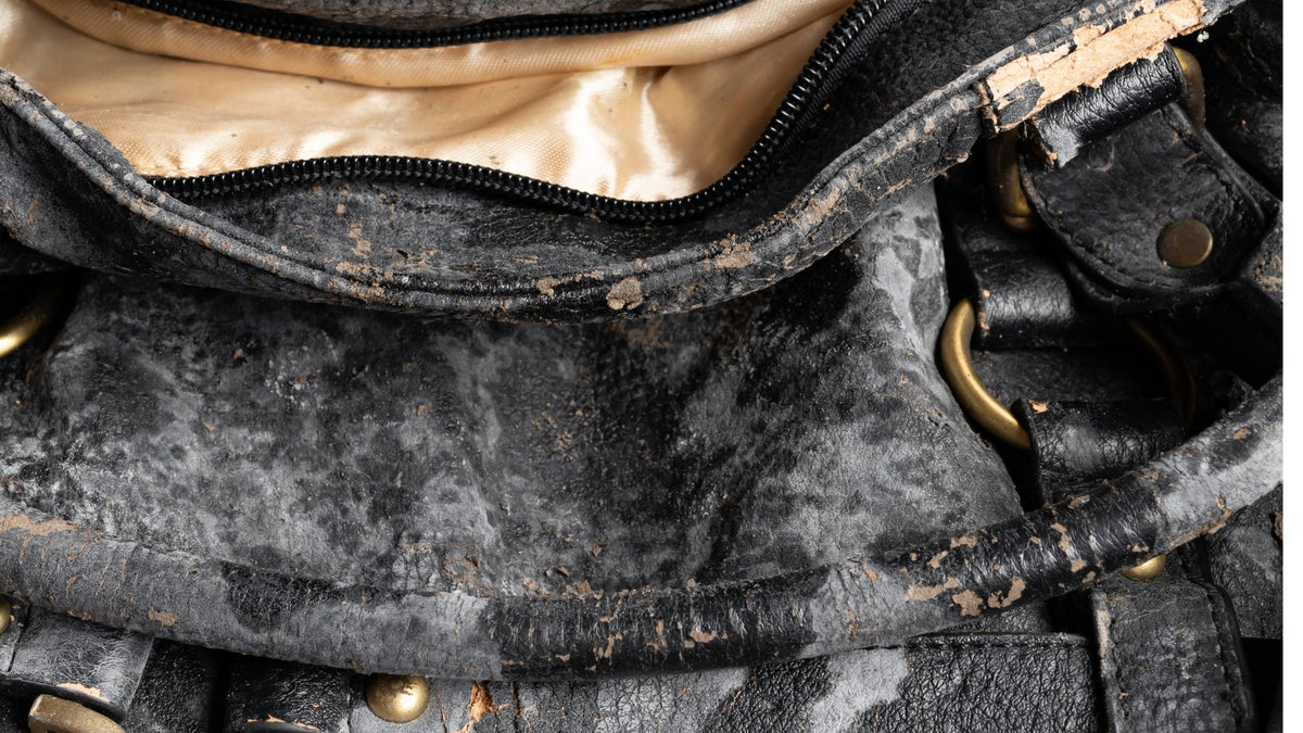 Mildew Removing Leather-based Care