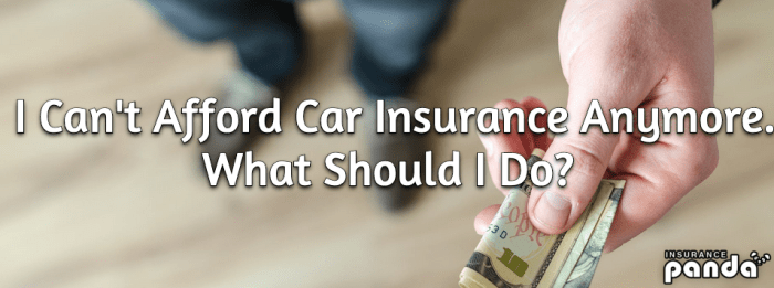 Afford insurance do what when cant can clarkscondensed What to do if you can't afford car insurance