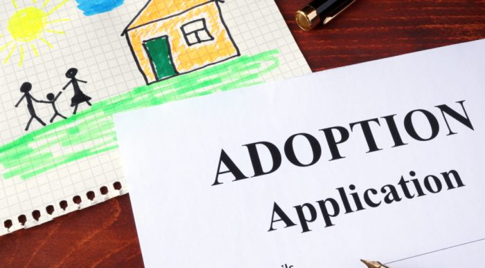 How A lot Does It Value to Reverse an Adoption?