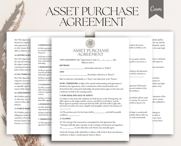 Agreement purchase asset form sale Asset purchase agreement how long to sale