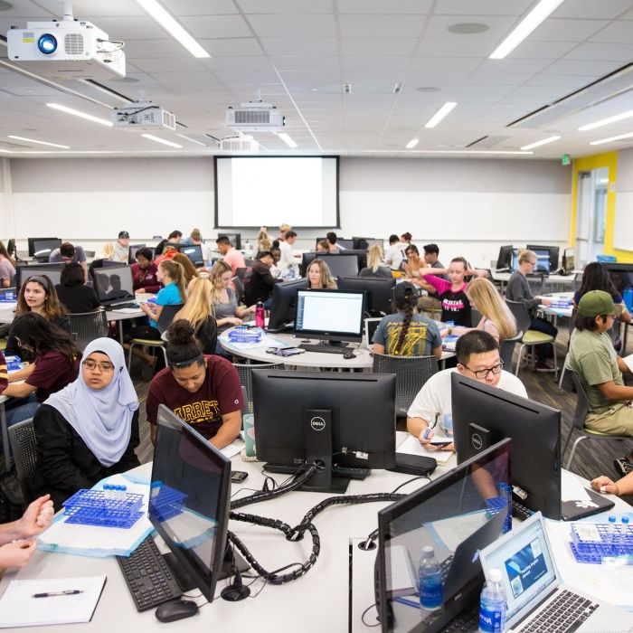 College Campus Gross sales How A lot Does It Take?