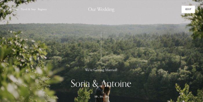 Squarespace Vertical Textual content The Final Information