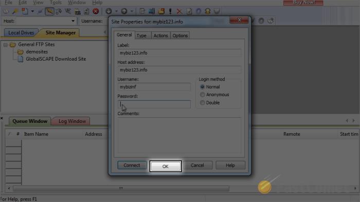 How to increase cute ftp view font