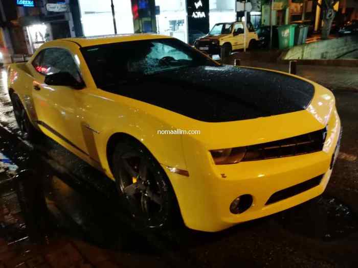 Automotive Registration Insurance coverage Necessities