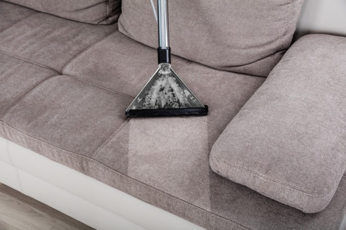 Learn how to Take away Mildew from Material Furnishings With out Bleach