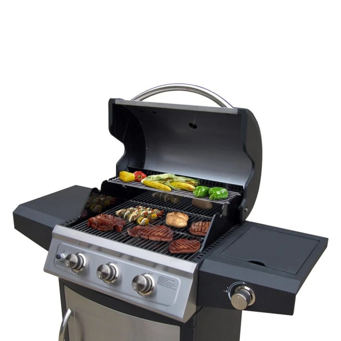 Function a Landmann Skilled Grill A Complete Information