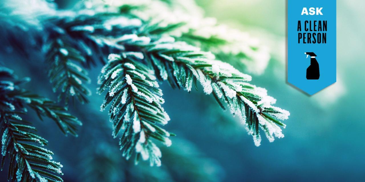 Clear Pine Sap Your Final Information