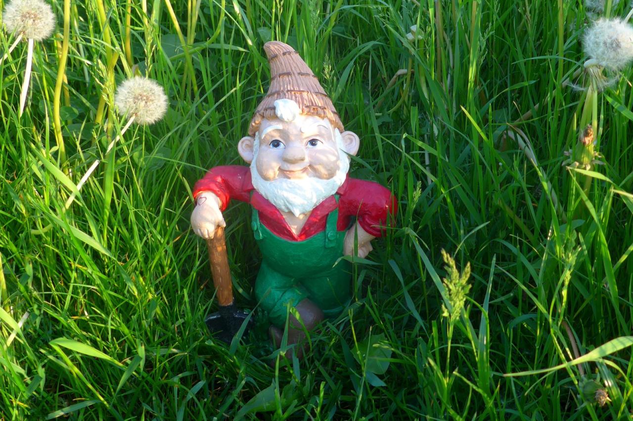 Tips on how to Restore a Garden Bothered with Fungus