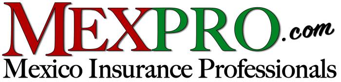 Mexican Automotive Insurance coverage Rocky Level Your Information