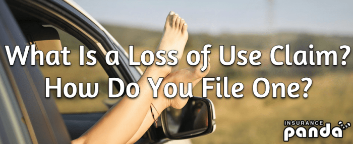 Loss of use coverage car insurance
