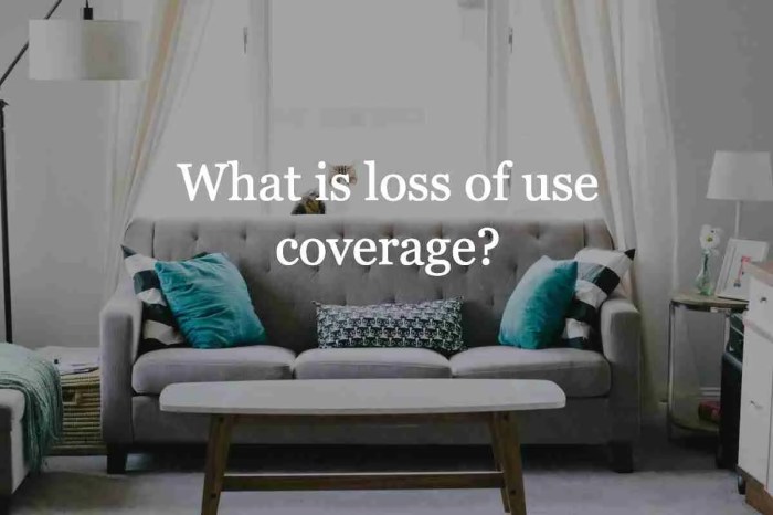 Lack of Use Protection Automotive Insurance coverage Your Rides Security Internet
