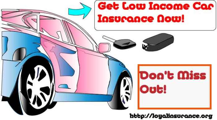 Low-Revenue Automotive Insurance coverage Texas A Information