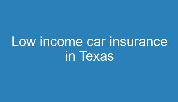 Low-Revenue Automotive Insurance coverage Texas Your Information