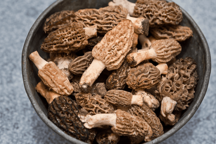 How to freeze morel mushrooms